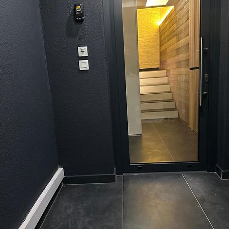 Magnifique Logement Proche De Colmar Parking Wifi Wintzenheim Exterior foto